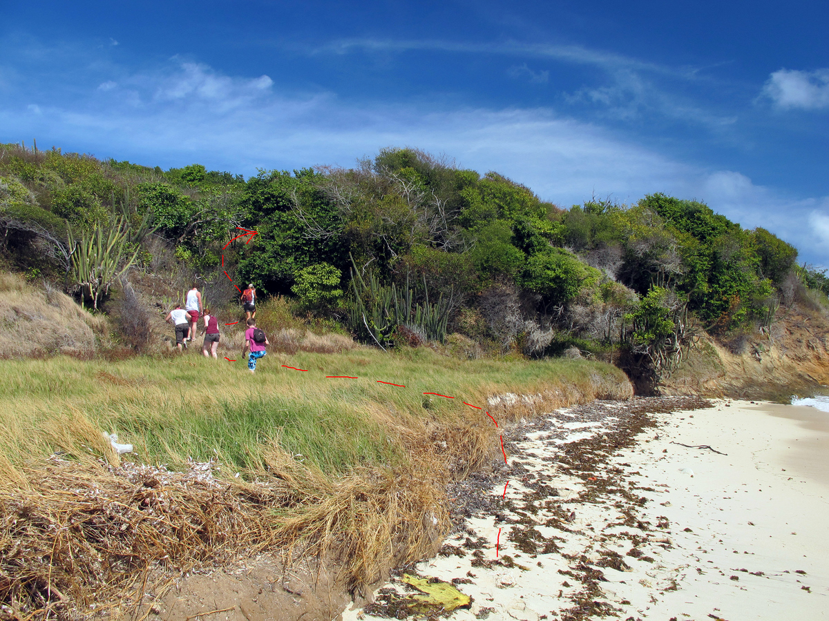 Path around rocky headland