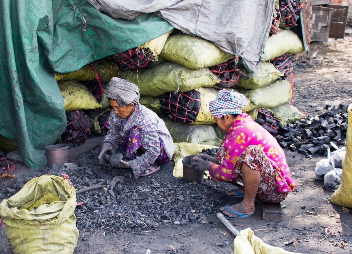 Sorting Charcoal Sorting Charcoal