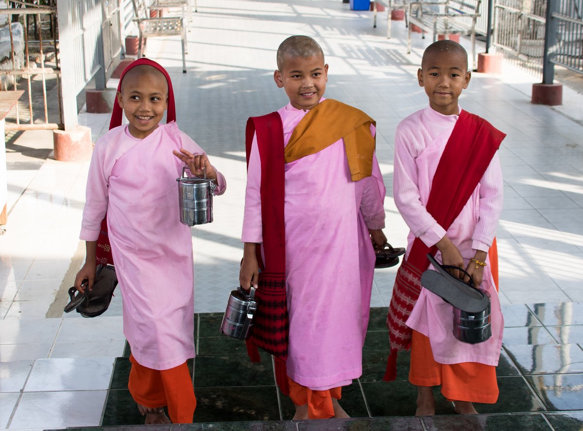 Novice Nuns Novice Nuns