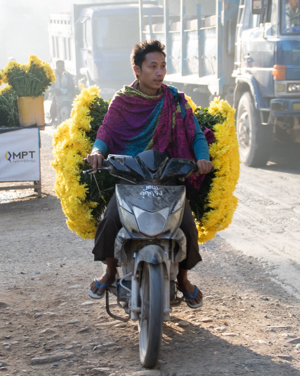 Chrysanthemums on a Bike Chrysanthemums on a Bike