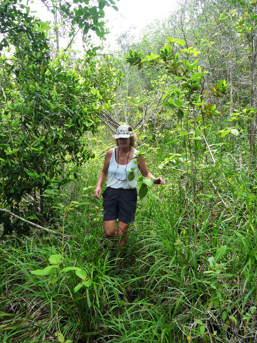 Hiking to Bequia Head