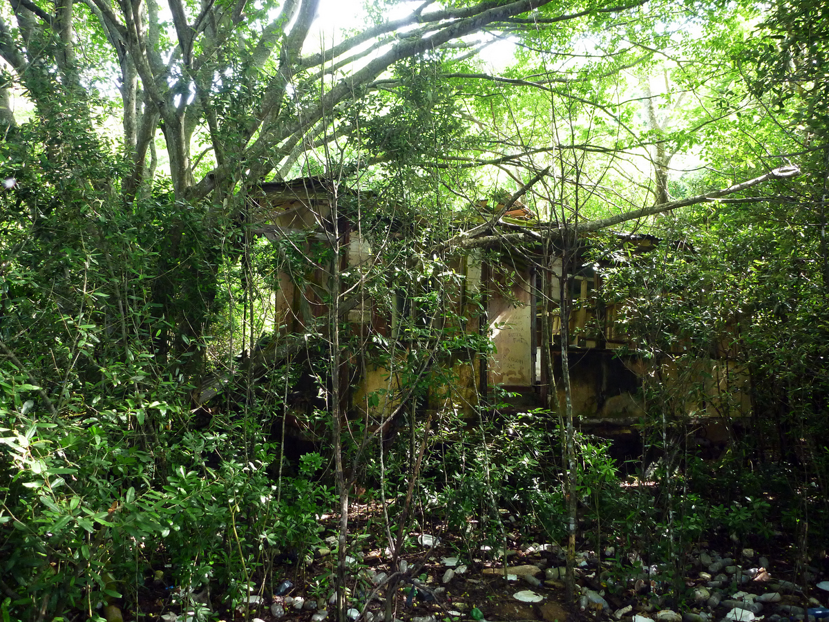 Old leper house being reclaimed by jungle