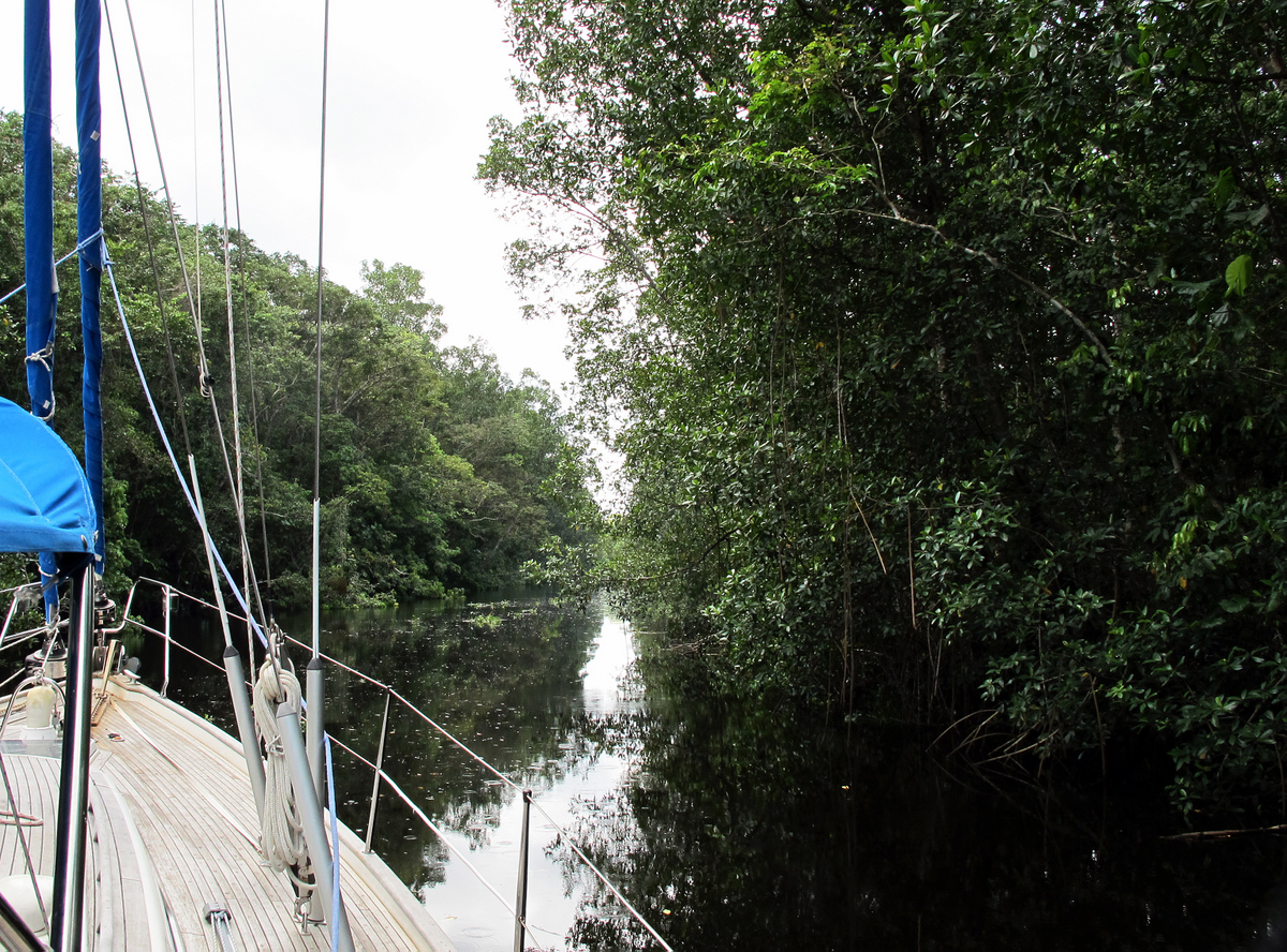 Exploring narrow branches in the Orinoco delta system