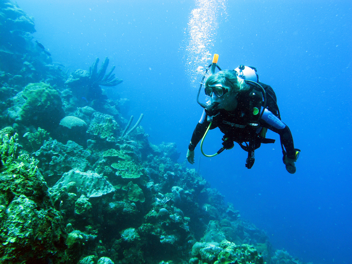 Dive in Bonaire