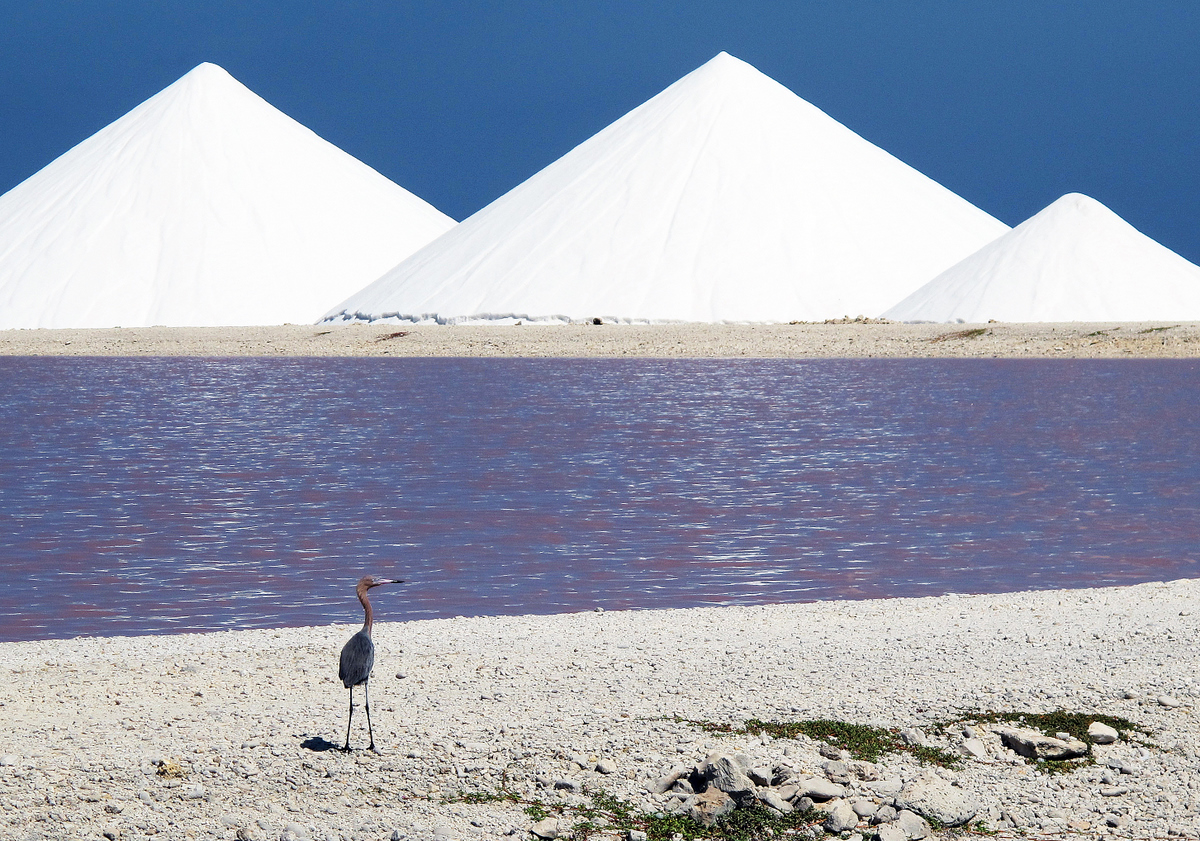 The Salt Pans of Bonaire