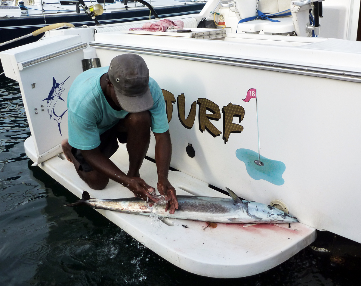 Wahoo caught on fishing trip Wahoo caught on fishing trip