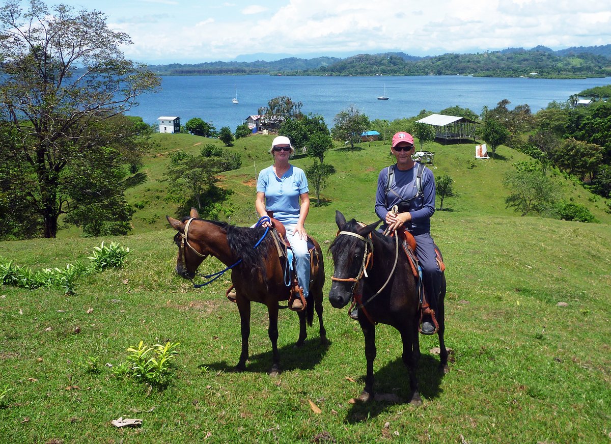 Horse Riding, Bocas Del Toro, Panama Horse Riding, Bocas Del Toro, Panama