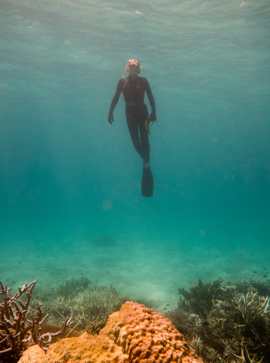 Snorkelling Snorkelling