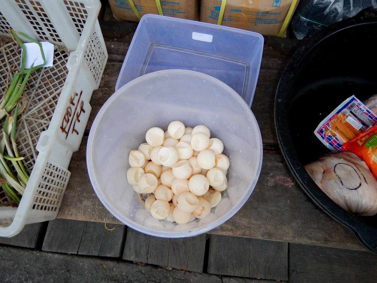 Turtle Eggs for sale in the market Turtle Eggs for sale in the market