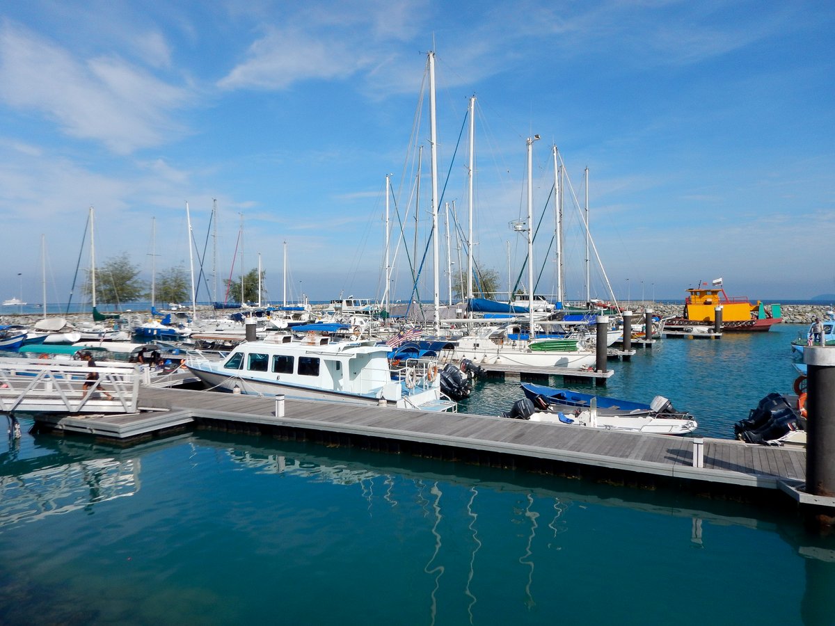The full marina The full marina