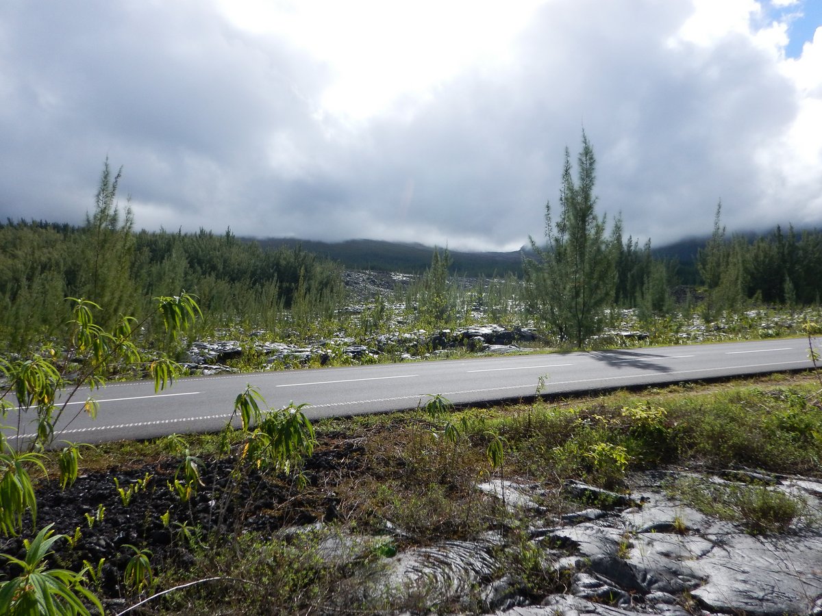 Old Lava Flow crossing a road Old Lava Flow crossing a road