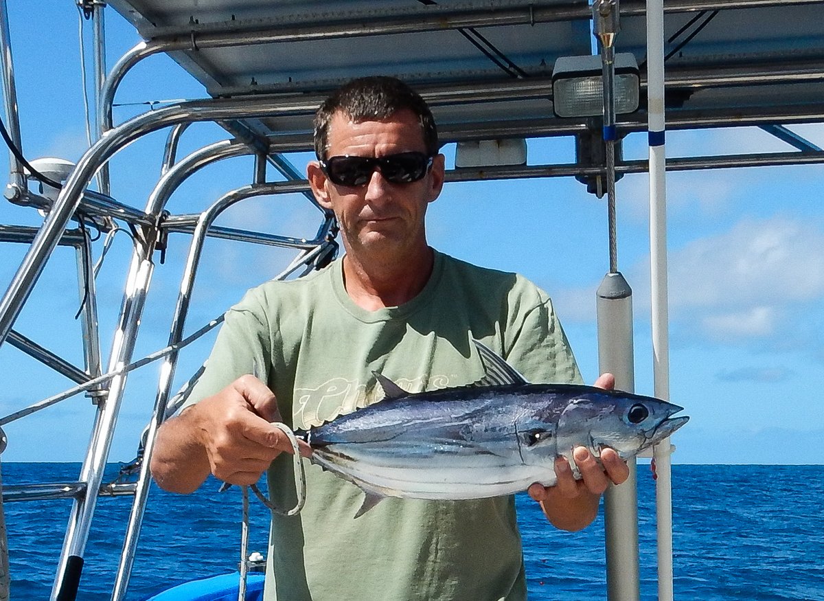 Nice little Tuna Nice little Tuna