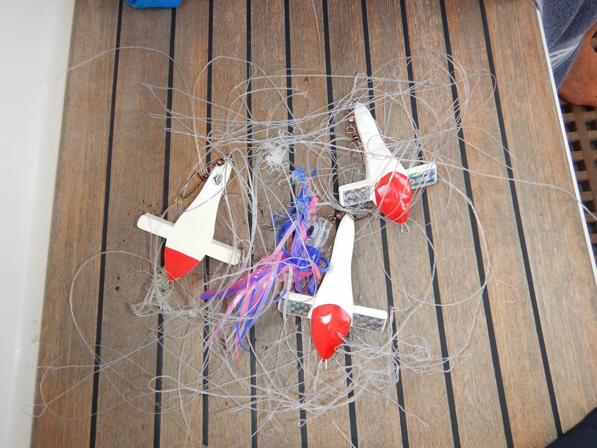 Seriously tangled fishing gear Seriously tangled fishing gear