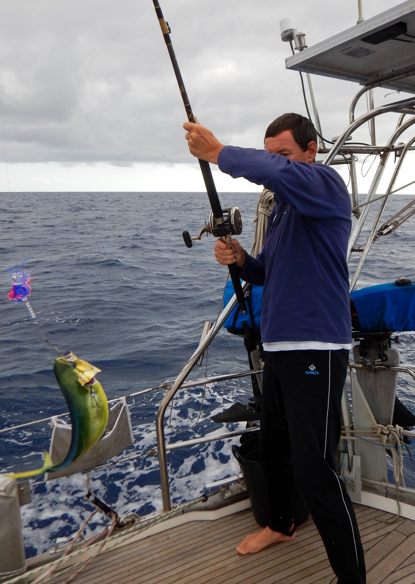 Small Dorado Small Dorado