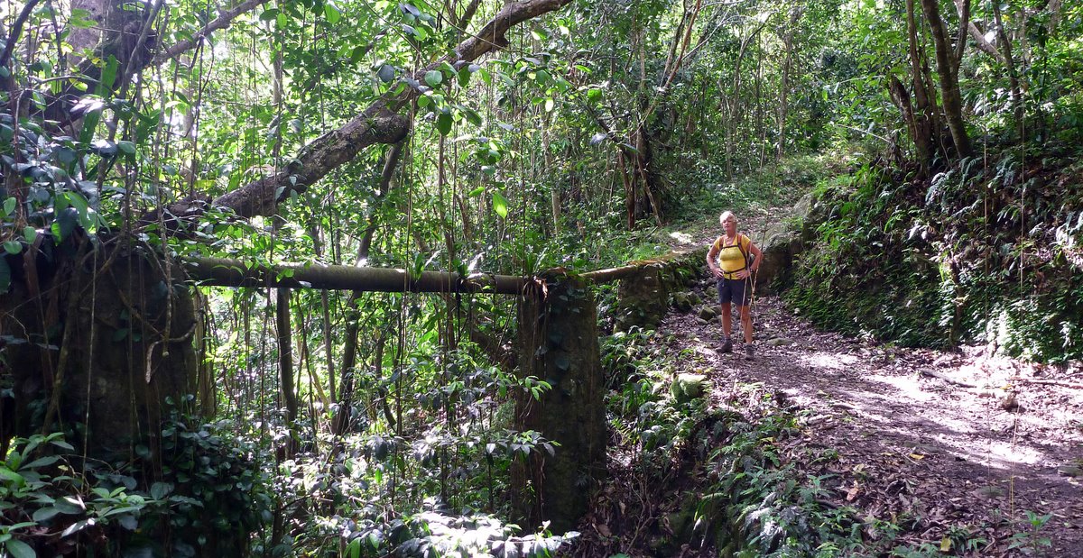 Ancient water pipes, The Source Trail, Nevis