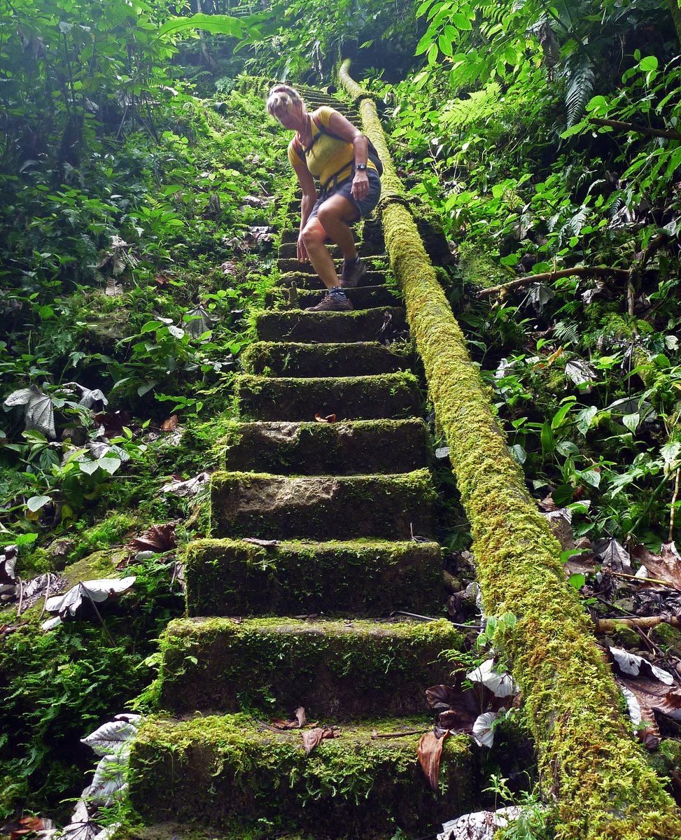 Dodgy steps on the Source Trail, Nevis