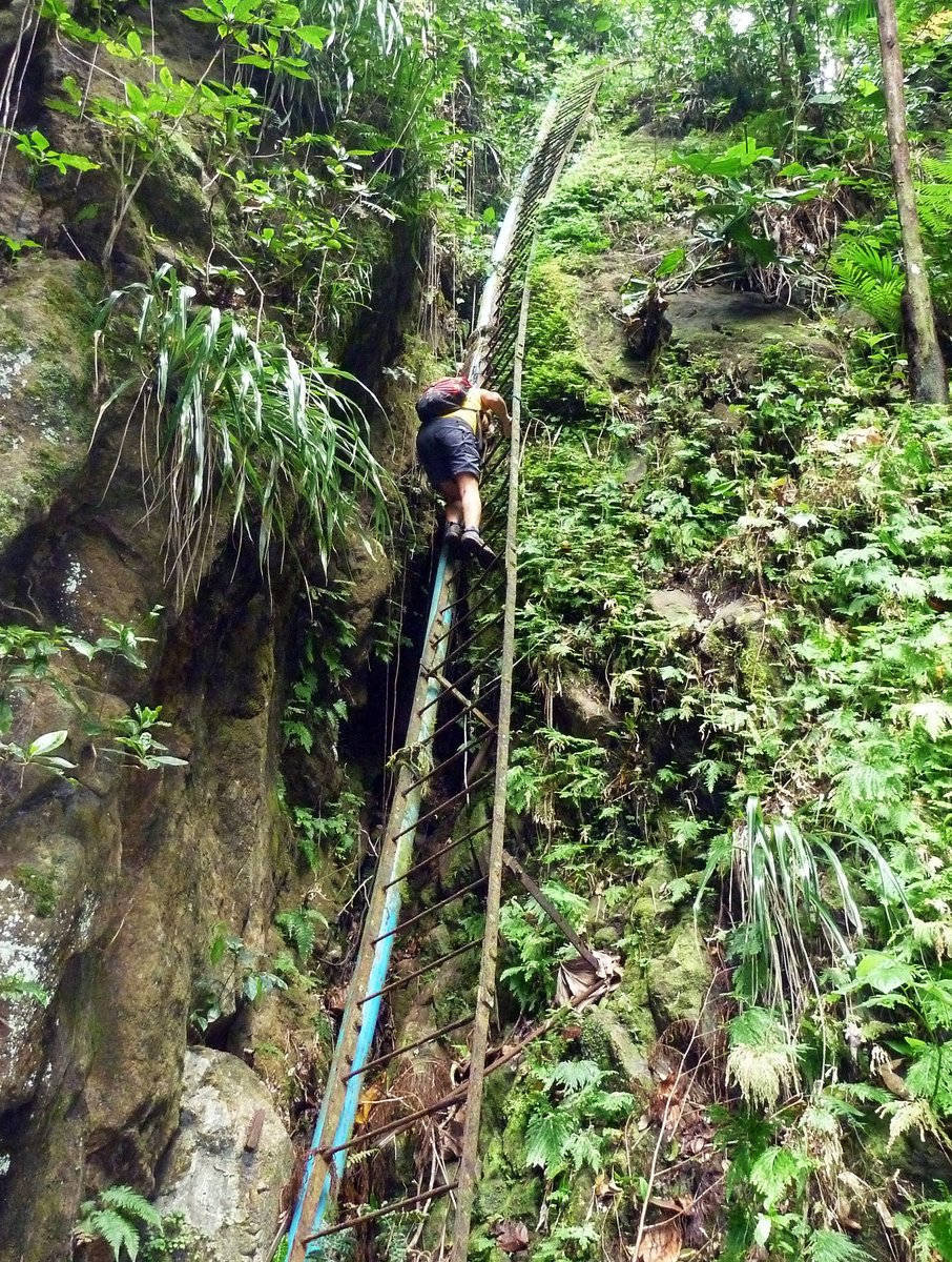 120 foot ladder, Source Trail, Nevis